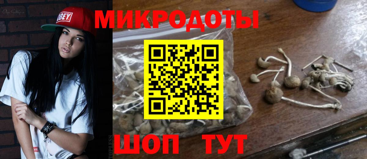 Галлюциногенные грибы Cubensis Курчатов