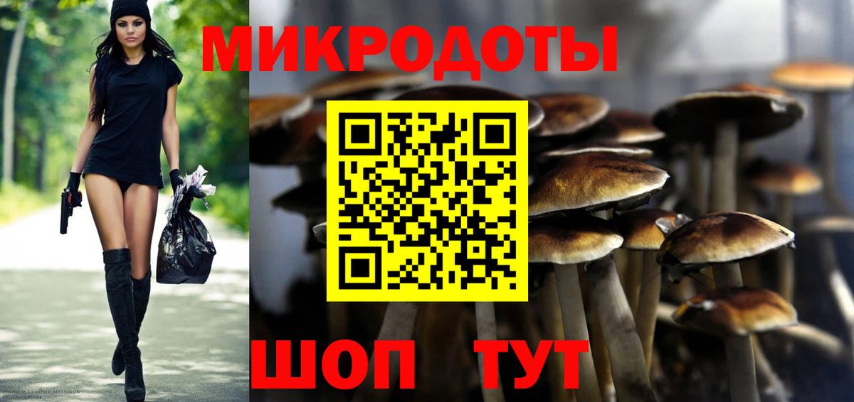 Курчатов  Псилоцибиновые грибы Magic Shrooms  Вход с VPN 